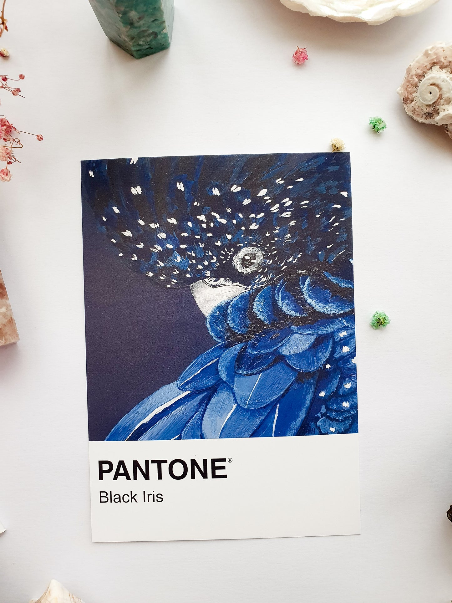 Black Iris Pantone Print - A5 Postcard